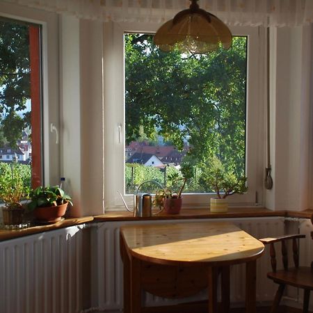 Rotes Haus Ueber Den Weinbergen Apartment Konstanz Luaran gambar